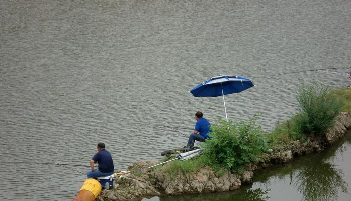 探秘砍树枝钓鱼技巧（发掘钓鱼的新玩法）  第3张