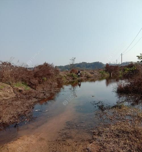 以坑塘钓鱼技巧教程（掌握钓鱼技巧）  第1张