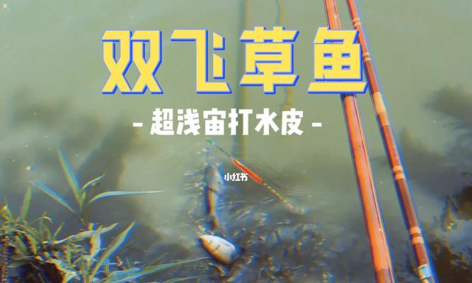 空水瓶钓鱼的技巧与乐趣（DIY钓鱼利器）  第2张