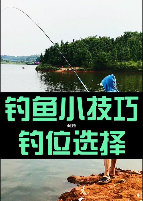 利用空闲时间提升野钓技巧（充分利用时间轻松成为野钓高手）  第2张