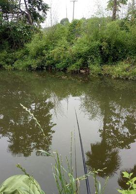 宽面河道钓鱼的技巧与方法（打造的宽面河道钓鱼体验）  第3张