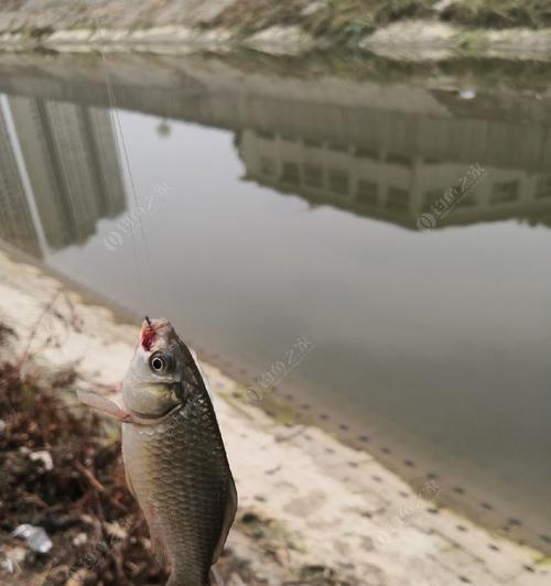 腊山河钓鱼技巧（掌握钓鱼技巧）  第1张