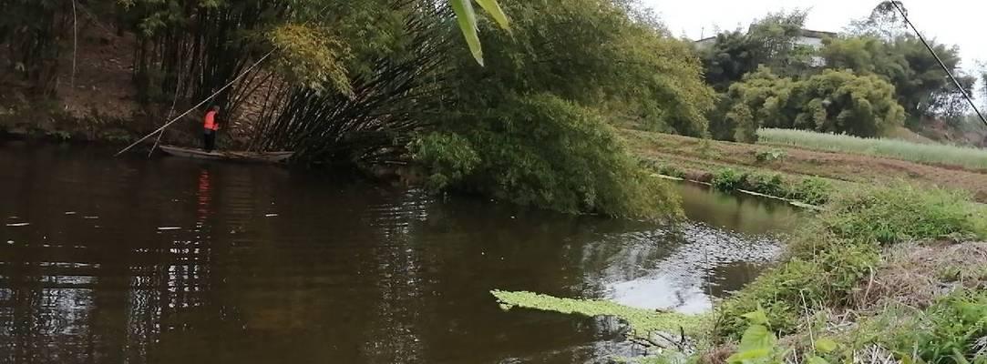 拦河坝垂钓技巧大揭秘（提升垂钓技能）  第2张