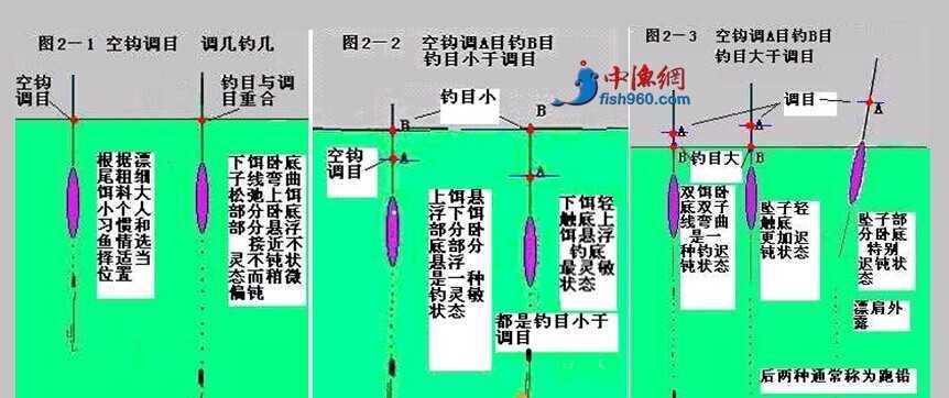 流水调漂钓鱼技巧（掌握技巧）  第3张