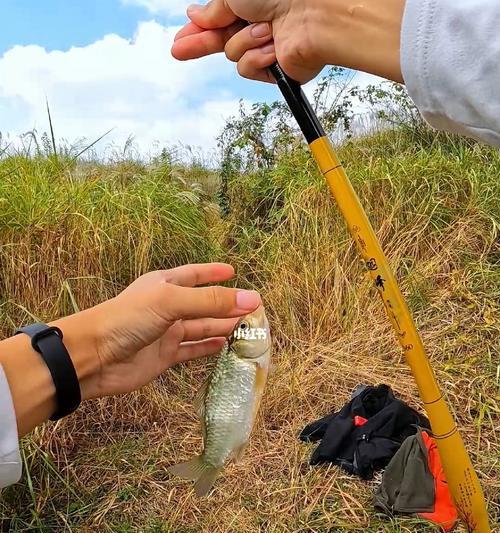 流水河钓鱼技巧（掌握流水河钓鱼的技巧）  第1张