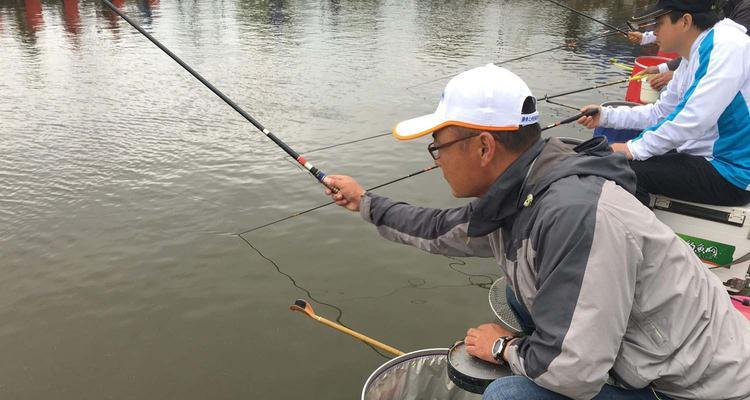 流水河面钓鲤鱼的技巧（掌握关键技巧）  第1张