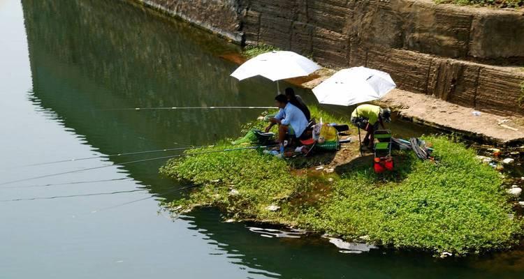 流水河钓鱼技巧（钓鱼技巧分享｜以流水河为例）  第3张