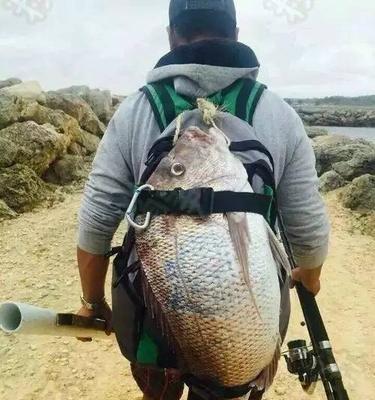 流水滑漂钓翘嘴技巧大揭秘（掌握定水层要诀）  第3张