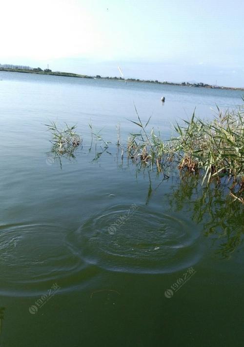 流水口钓鱼的正确方法与技巧（享受乐趣）  第2张