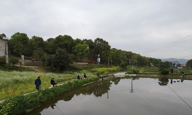 水库流水口钓鱼技巧（掌握流水口特点）  第1张