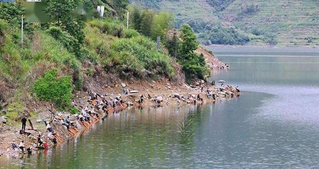 流水湾钓鱼技巧与方法（掌握关键技巧）  第3张