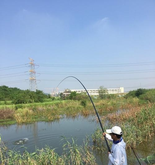 流水小沟钓鱼技巧（掌握钓鱼技巧）  第1张