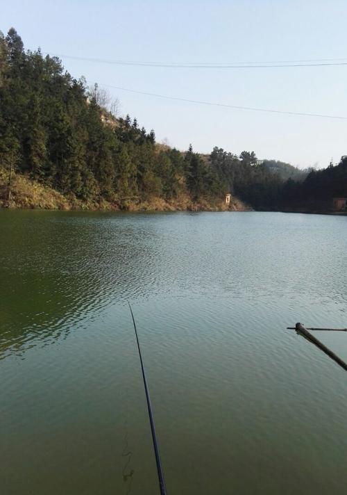 流水小沟钓鱼技巧（掌握钓鱼技巧）  第3张