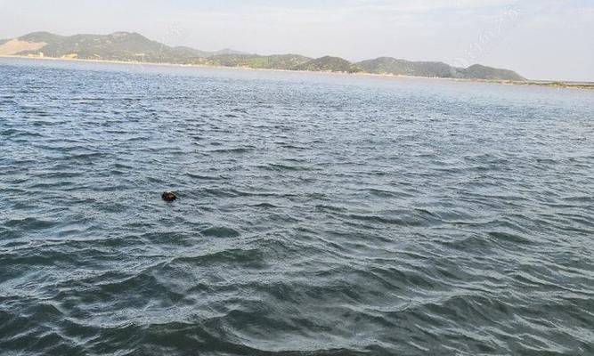 掌握流水闸口钓鱼技巧的要点（流水闸口钓鱼技巧分享）  第3张