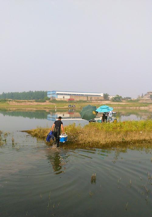 流水闸口钓鱼技巧教学（掌握钓鱼技巧）  第3张