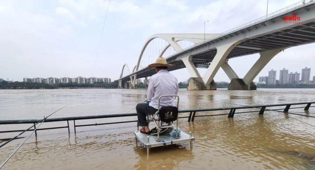 柳江江河钓鱼技巧（探秘柳江江河中的钓鱼窍门）  第2张