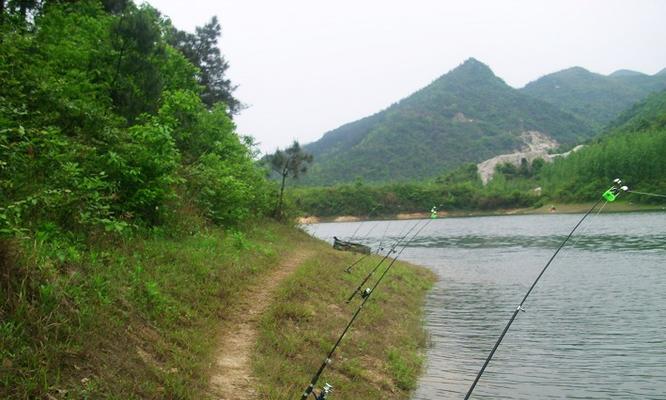 柳青河钓点钓鱼技巧大揭秘（一起探索柳青河最佳钓鱼技巧）  第3张