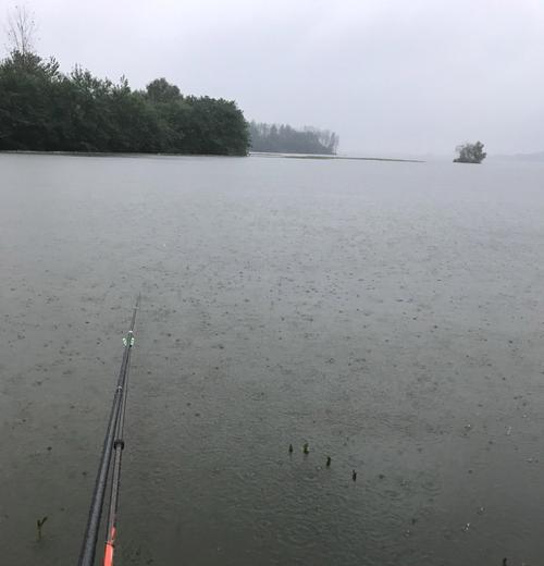 龙洞水库钓鱼技巧大揭秘（掌握龙洞水库钓鱼技巧）  第2张