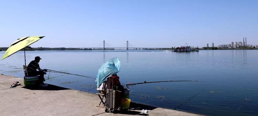 龙湖湿地钓鱼技巧教程（掌握钓鱼技巧）  第3张