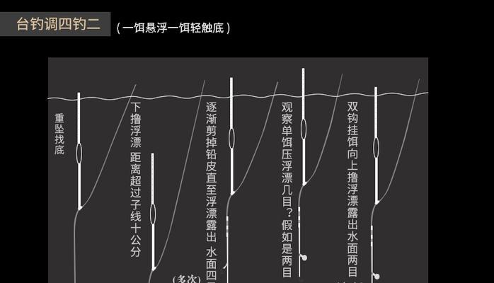 芦苇垂钓红尾虾技巧（掌握垂钓技巧）  第2张