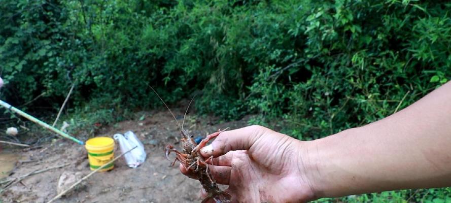 路边钓鱼技巧大揭秘（钓鱼达人分享的路边钓鱼技巧）  第3张