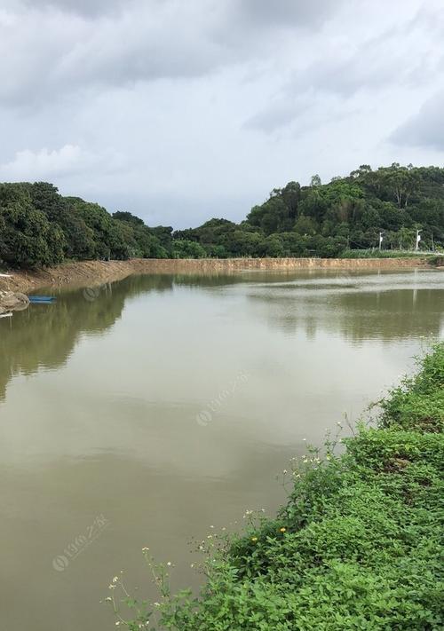 路边水塘钓鱼技巧（轻松掌握路边水塘钓鱼的秘诀）  第1张