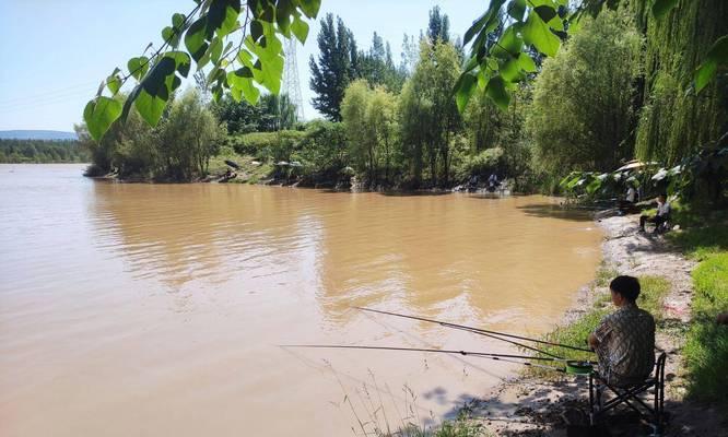 洛河钓鱼技巧教程（掌握洛河钓鱼的关键技巧）  第3张