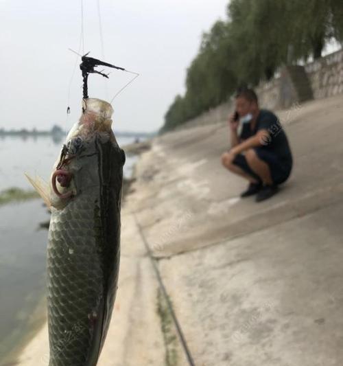 骆马湖垂钓技巧大揭秘（掌握这一技能）  第2张