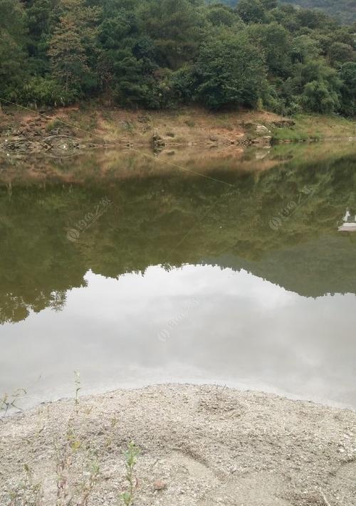 麻黄梁水库钓鱼技巧（探秘麻黄梁水库的钓鱼技巧）  第3张