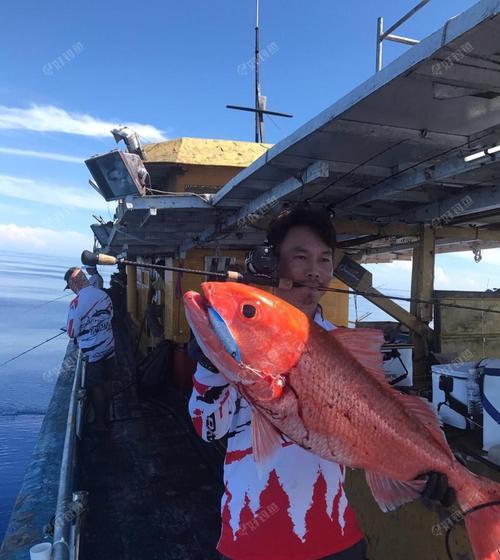 马来西亚河流钓鱼技巧与方法（探索丰富的马来西亚河流资源）  第1张