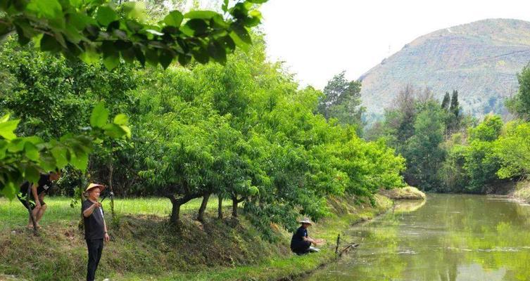 马龙水库钓鱼技巧教程（享受钓鱼乐趣的绝佳选择）  第3张