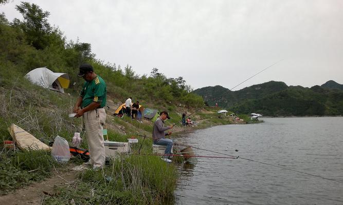 马路边钓鱼的技巧与方法（初学者必备的钓鱼指南）  第2张