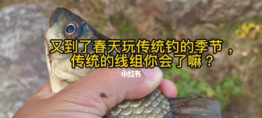 牛人传授钓鱼技巧（钓鱼技巧大师教你成为高手）  第1张