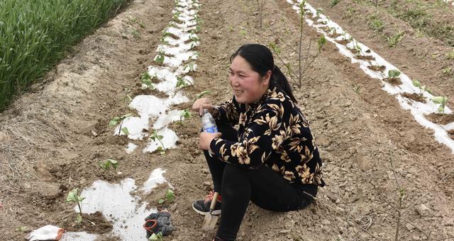 农村大嫂的钓鱼秘籍（掌握技巧成为水中捕手）  第2张