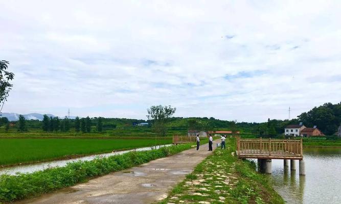 农村虾池钓鱼技巧与方法（了解虾池特点）  第2张