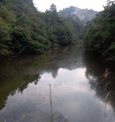 农村野塘钓鱼的技巧（解密农村塘钓）  第1张