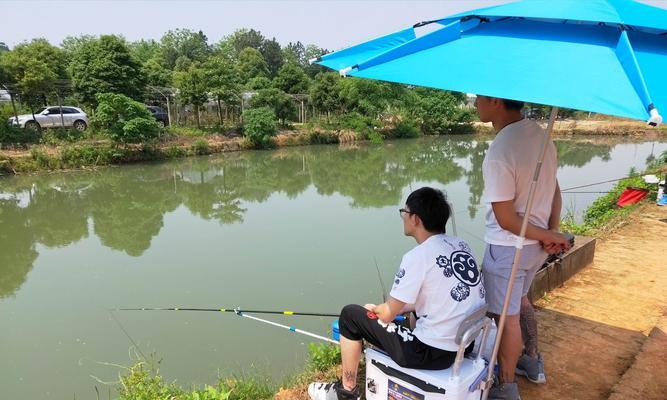 农村鱼塘钓鱼技巧（掌握正确的技巧）  第3张