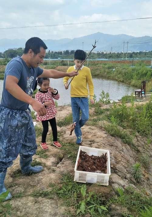 农家乐休闲钓鱼技巧（享受自然乐趣）  第1张