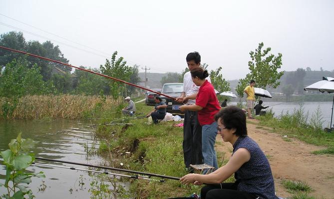 藕塘浅水浑水钓鱼技巧（掌握这个关键）  第1张