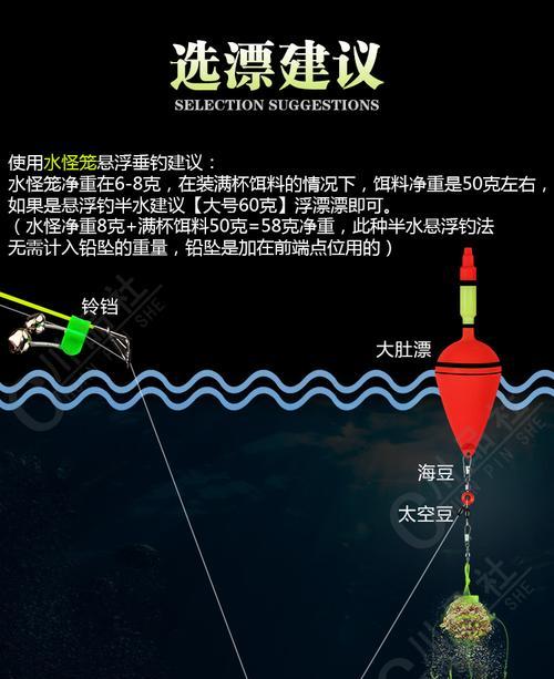 提升抛竿钓白条技巧的方法与教程（掌握竿技）  第1张