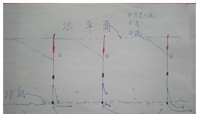 抛竿钓浮漂的调漂方法与技巧（钓鱼达人教你如何准确调漂）  第3张