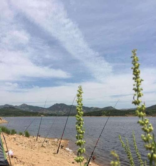 河鳗钓技巧大揭秘（掌握竿钓河鳗的窍门）  第3张