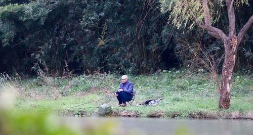 桥下钓鱼之妙技（高效钓鱼技巧助你大获丰收）  第2张