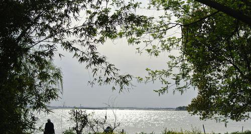 淀山湖钓鱼技巧大揭秘（青浦淀山湖钓鱼技巧分享）  第3张