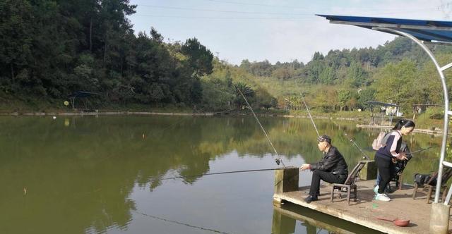 青浦冬天钓鱼技巧（冬季在青浦鱼塘钓鱼）  第2张