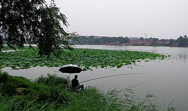 清明钓鱼技巧大揭秘（清明钓鱼技巧教程）  第2张