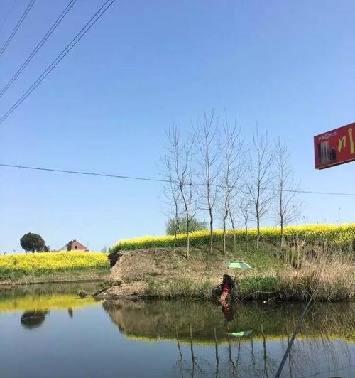 清明节后钓鱼技巧（享受清明假期）  第3张