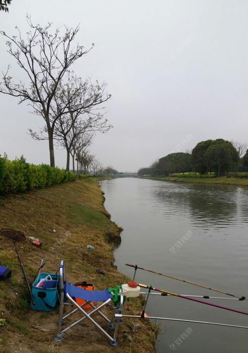 清明节后钓鱼技巧（享受春日钓鱼乐趣）  第2张