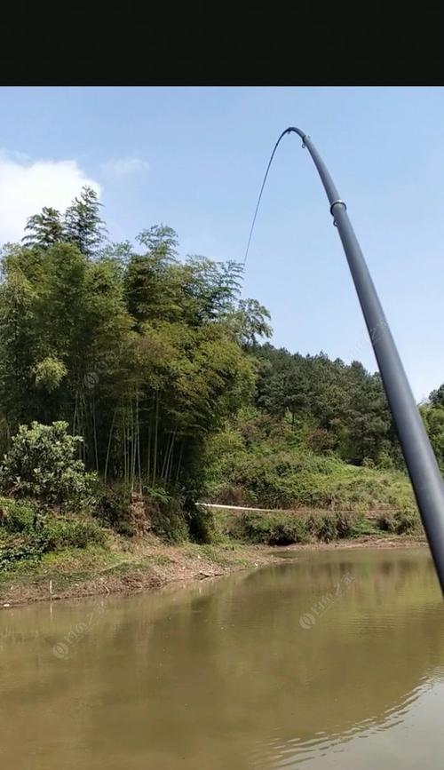 清明节后钓鱼小技巧（提高钓鱼成功率的实用建议）  第1张