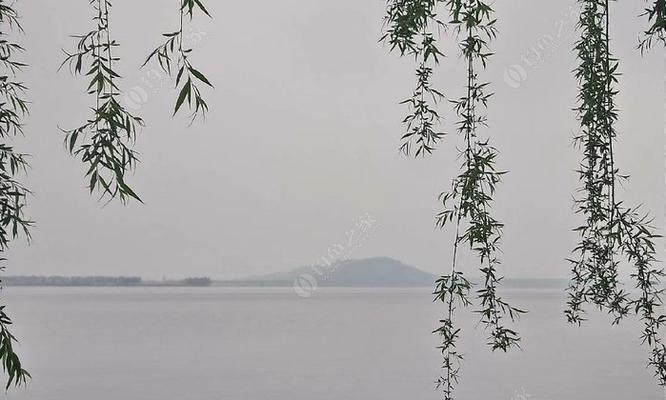 浅水钓鱼技巧大揭秘（清明节前后）  第2张